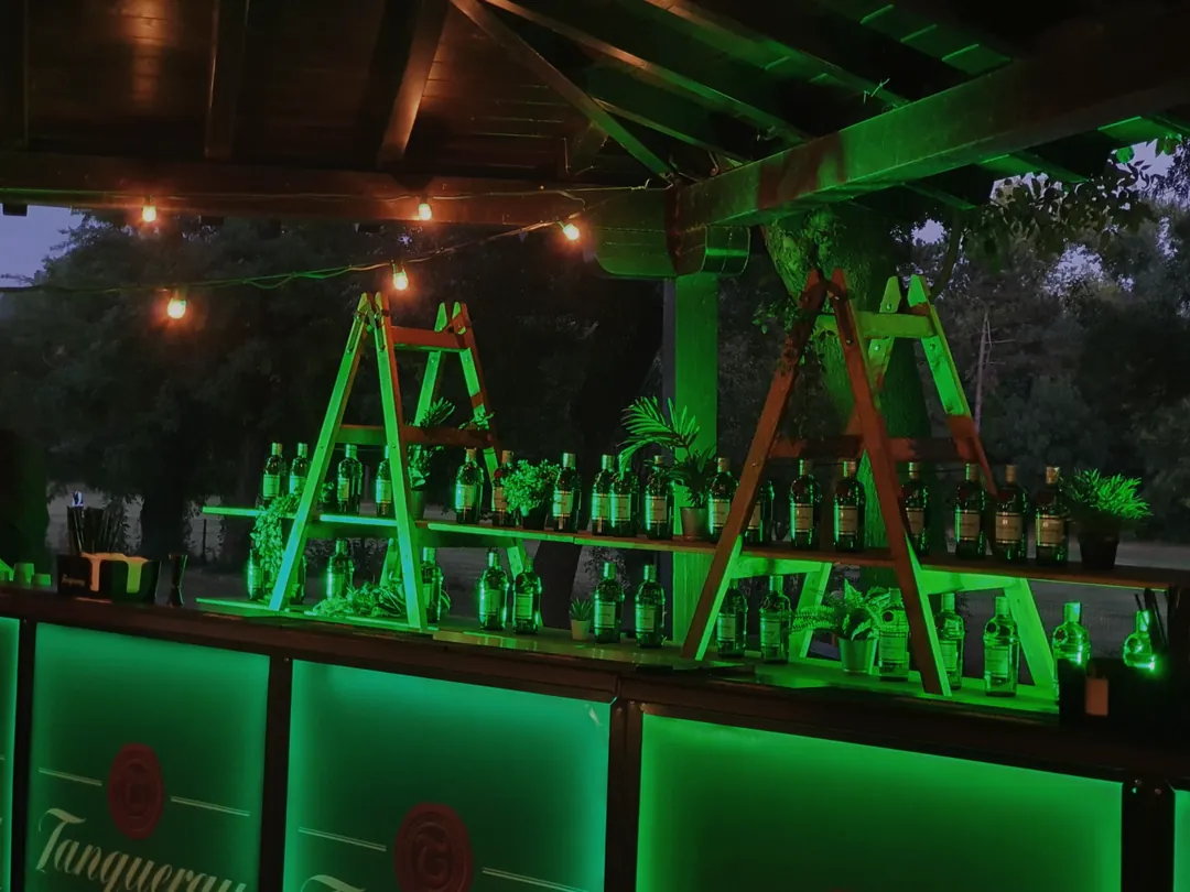 Bar branduit Tanqueray cu iluminare verde și expoziție de sticle sub pergolă